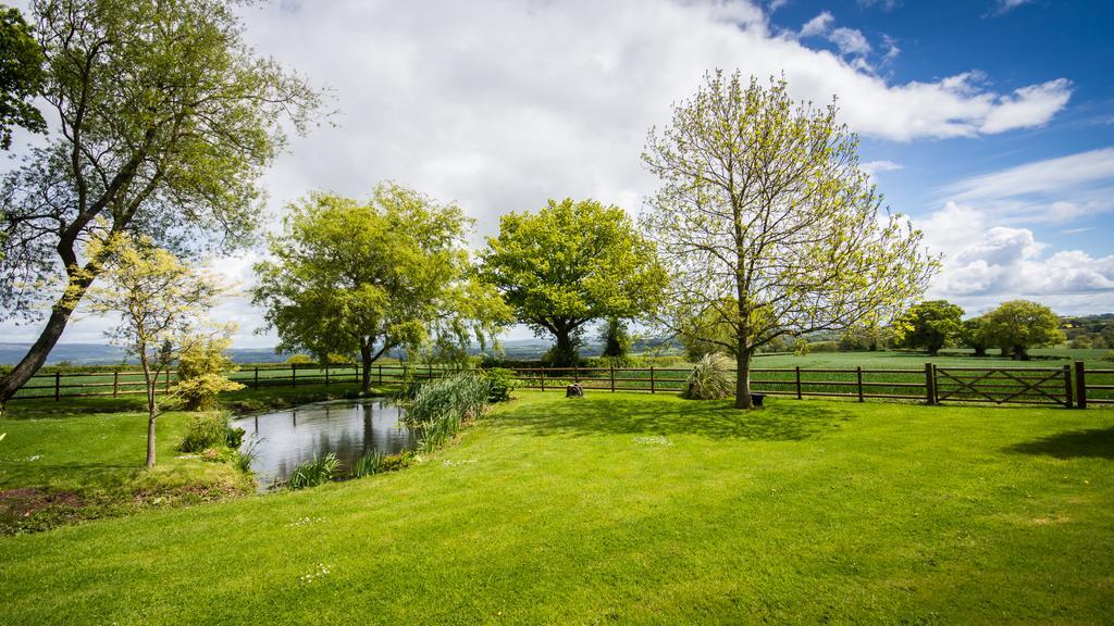 Hills Farm Bed & Breakfast Leominster Bilik gambar