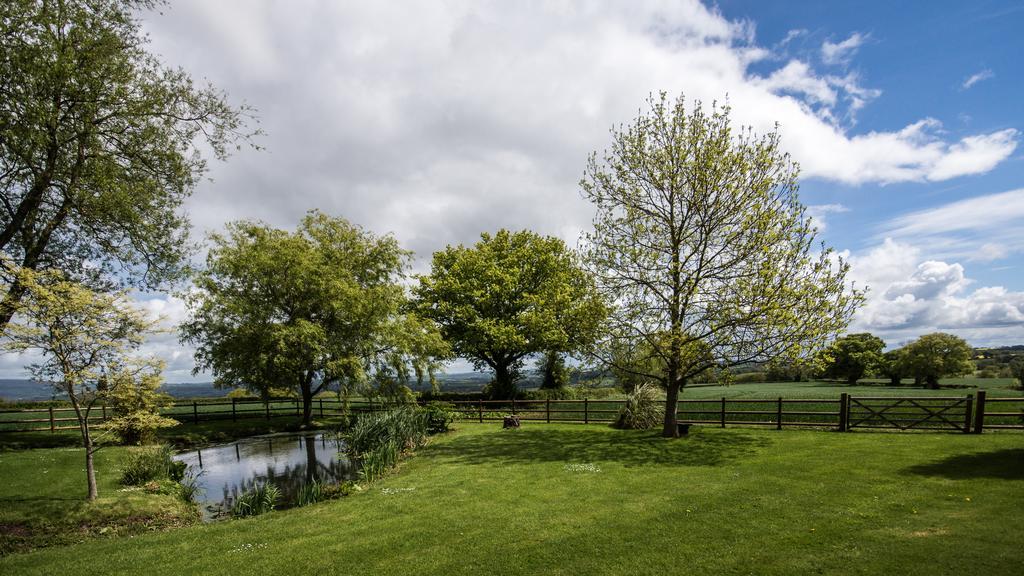 Hills Farm Bed & Breakfast Leominster Bilik gambar