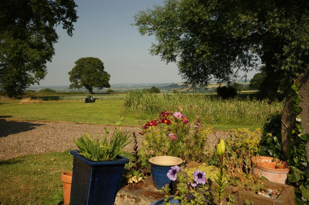 Hills Farm Bed & Breakfast Leominster Luaran gambar