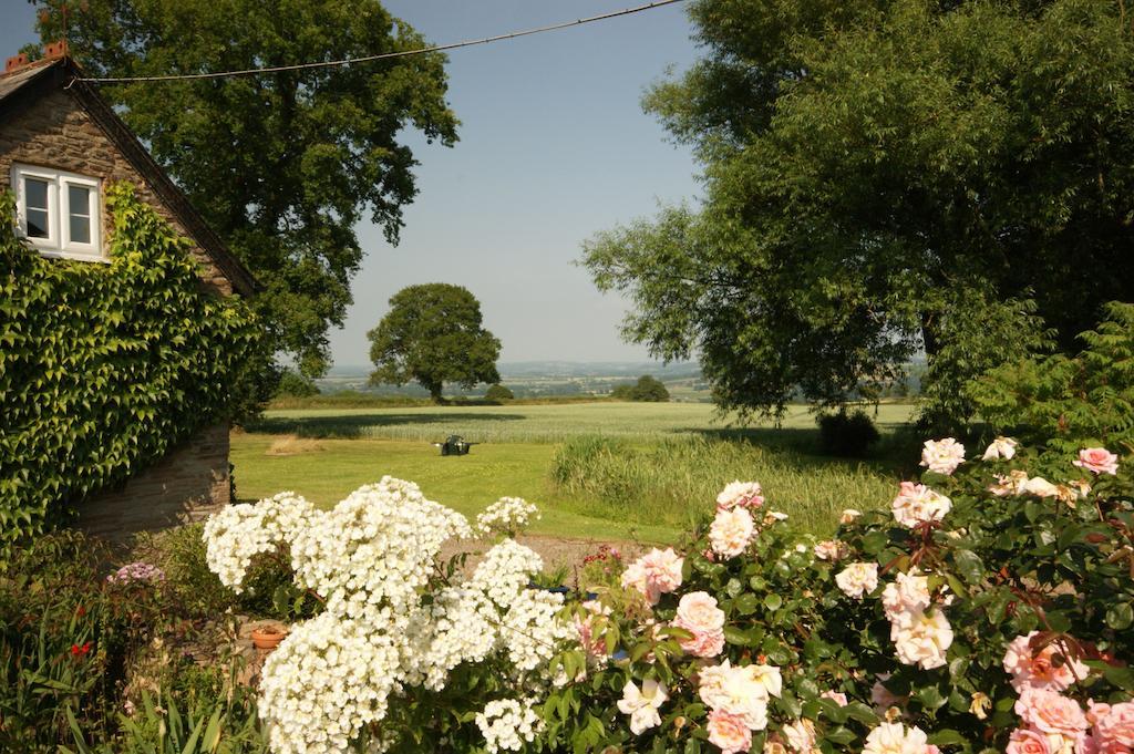Hills Farm Bed & Breakfast Leominster Bilik gambar