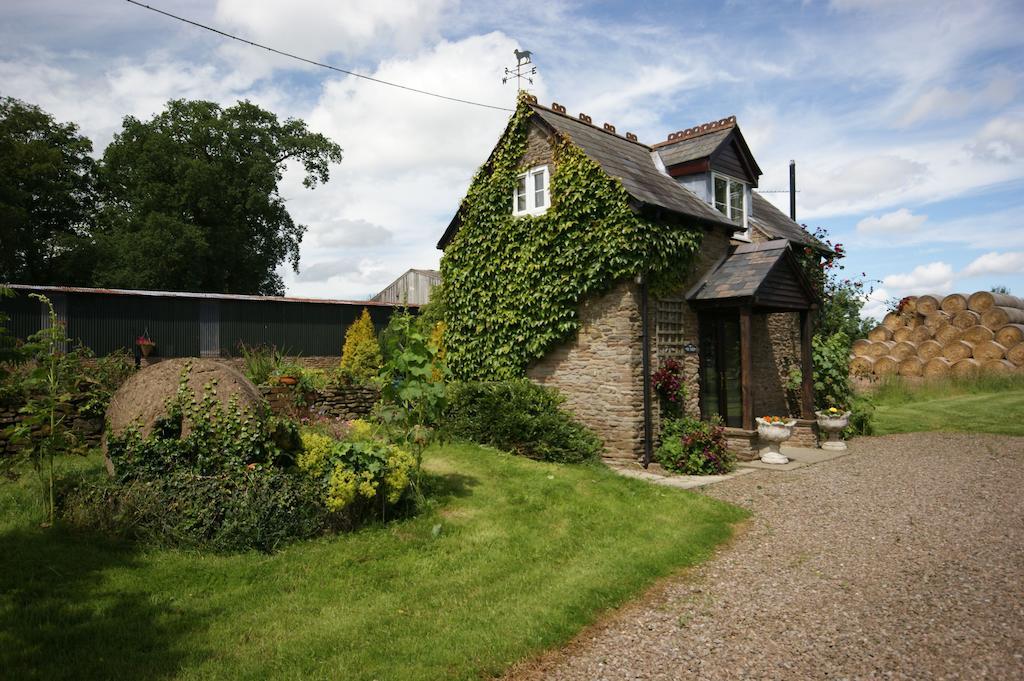 Hills Farm Bed & Breakfast Leominster Bilik gambar